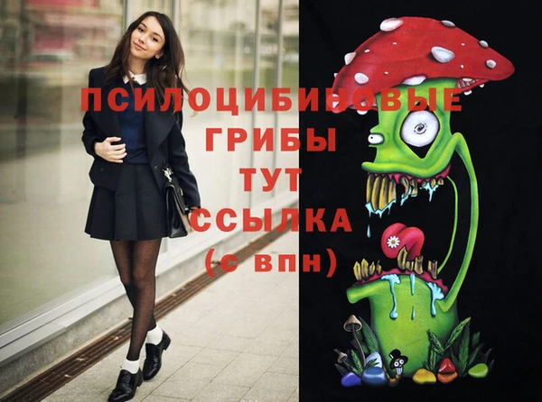 герыч Алзамай