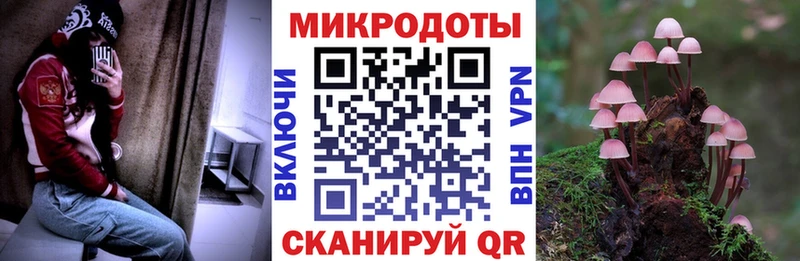 ОМГ ОМГ зеркало  Артёмовский  Галлюциногенные грибы Psilocybe 